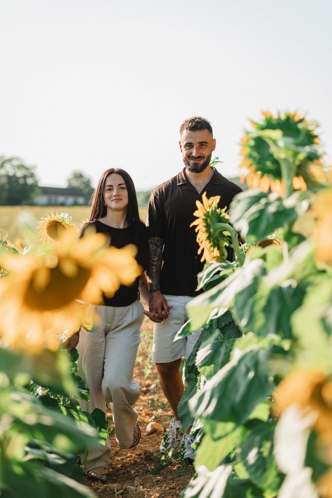 Couple marchant main dans la main entre les tournesols